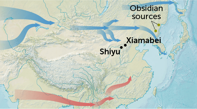 A map of Asia has blue arrows streaming across the top and red arrows across the bottom denoting the movements of ancient Homo sapiens. The map calls out the sites of Shiyu and Xiamabei, two spots where researchers suspect H. sapiens merged culturally with local groups. The map also calls out the location obsidian sources.